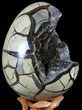 Septarian Dragon Egg Geode With Removable Section #57440-3